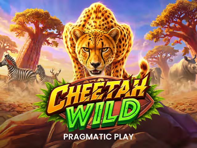 Cheetah Wild